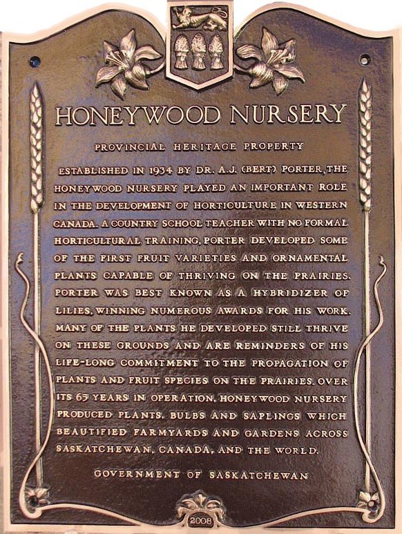 plaque