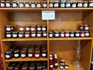 Jelly 1
