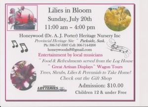 Lilies in Bloom Poster