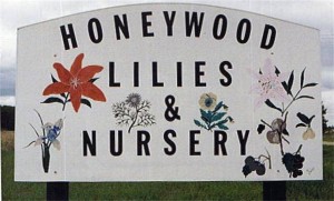 Old sign